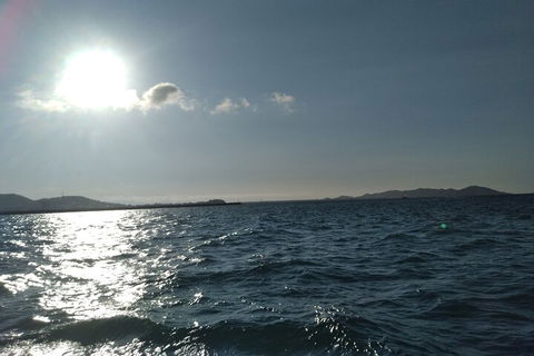Townsville Small Group Early Morning Sailing Cruise Boat Tour Charter Hire - South Australia Travel 4