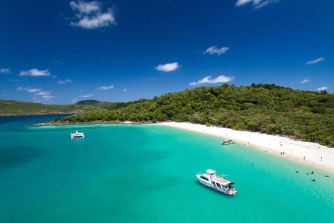Whitehaven Beach And Hill Inlet | Awesome Beach BBQ | Family Friendly - South Australia Travel 3