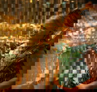 The Perth Mint Guided Heritage Tour and Gold Pour - South Australia Travel