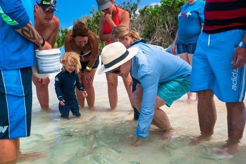 Whitehaven Beach And Hamilton Island Cruise - South Australia Travel 1