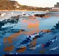 Adventure Moreton Island Wrecks Adventure Package - South Australia Travel