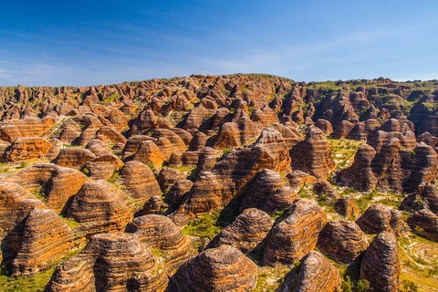 Bungle Bungle Explorer - South Australia Travel 1