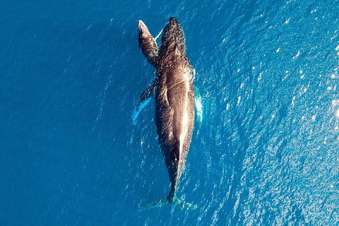 Buccaneer Explorer - South Australia Travel 0