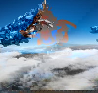 Reef and Rainforest Tandem Sky Dive in Cairns - South Australia Travel