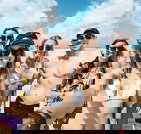 Whitsunday Islands Sailing Adventure - South Australia Travel