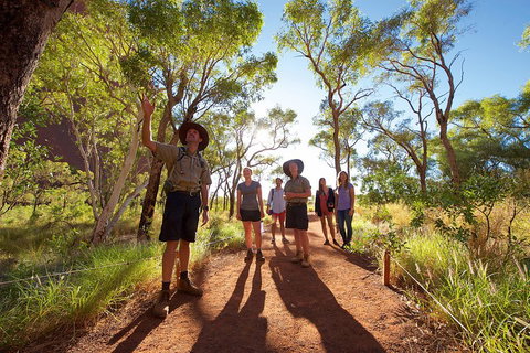 Uluru Small Group Tour Including Sunset - South Australia Travel 0