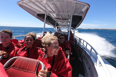 Adventure Rottnest Tour With Ferry & Adventure Cruise From Perth Or Fremantle - South Australia Travel 0