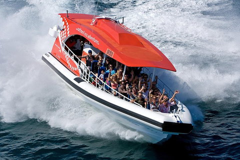 Adventure Rottnest Tour With Ferry & Adventure Cruise From Perth Or Fremantle - South Australia Travel 2