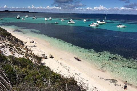 Experience Rottnest With Ferry & Bike Hire From Perth Or Fremantle - South Australia Travel 0
