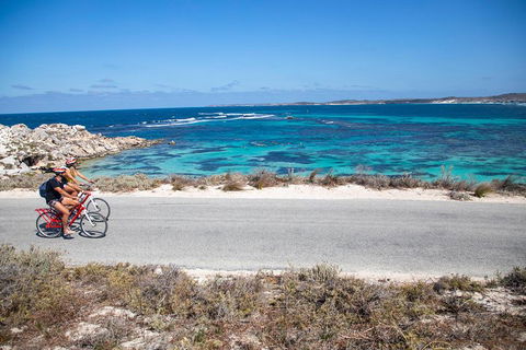 Experience Rottnest With Ferry & Bike Hire From Perth Or Fremantle - South Australia Travel 2