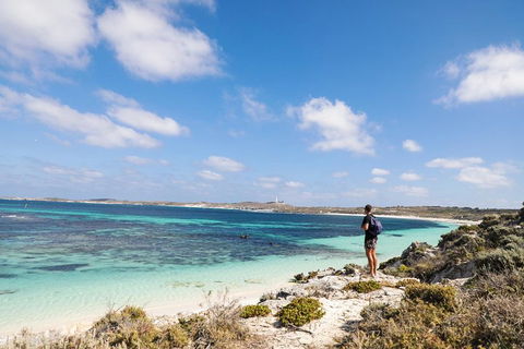 Experience Rottnest With Ferry & Bike Hire From Perth Or Fremantle - South Australia Travel 3