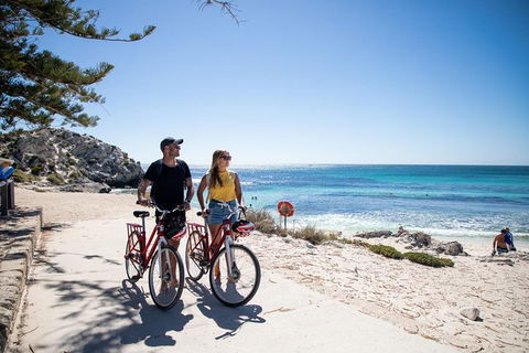 Experience Rottnest With Ferry & Bike Hire From Perth Or Fremantle - South Australia Travel 4