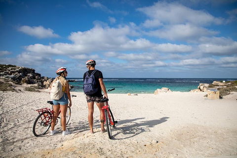 Experience Rottnest With Ferry & Bike Hire From Perth Or Fremantle - South Australia Travel 5