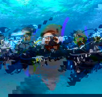 Great Barrier Reef Diving and Snorkeling Cruise from Cairns - South Australia Travel