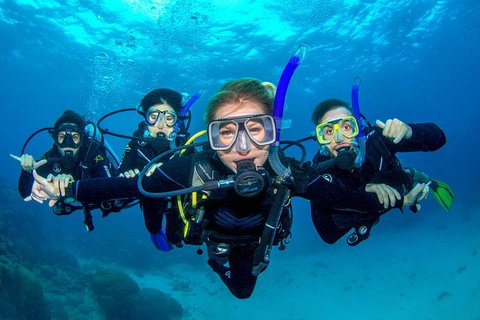 Great Barrier Reef Diving And Snorkeling Cruise From Cairns - South Australia Travel 0