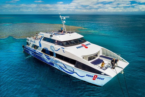 Great Barrier Reef Diving And Snorkeling Cruise From Cairns - South Australia Travel 5