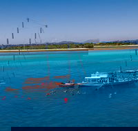 Ocean Free Green Island  Great Barrier Reef Snorkel Cruise Cairns 25 guests - South Australia Travel