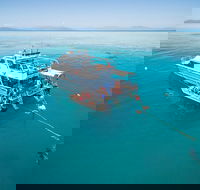 Ocean Freedom Great Barrier Reef Personal Luxury Snorkel  Dive Cruise Cairns - South Australia Travel