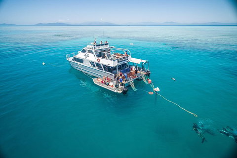 Ocean Freedom Great Barrier Reef Personal Luxury Snorkel & Dive Cruise, Cairns - South Australia Travel 0