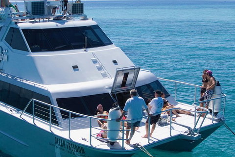 Ocean Freedom Great Barrier Reef Personal Luxury Snorkel & Dive Cruise, Cairns - South Australia Travel 1