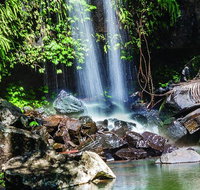 Full Day Small Group Luxury Tour to Tamborine Mountain - South Australia Travel