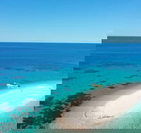 Ocean Safari Great Barrier Reef Experience in Cape Tribulation - South Australia Travel