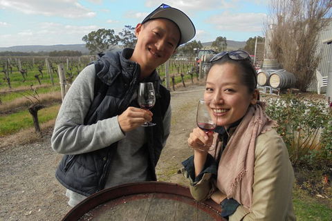 Swan Valley River Cruise And Wine Tasting Day Trip From Perth - South Australia Travel 0