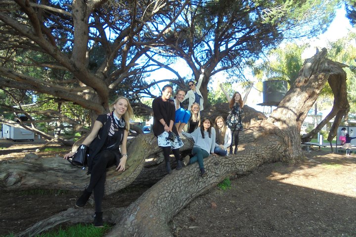  South Australia Travel