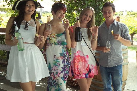 1/2 Day Swan Valley Wine Cheese & Chocolate Tour Inc Afternoon Cruise To Perth - South Australia Travel 4