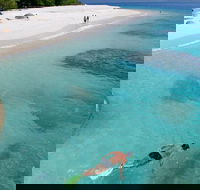 Fitzroy Island Day Trip from Cairns - South Australia Travel