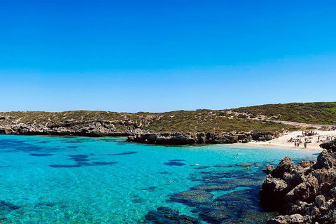 Rottnest Island Roundtrip Fast Ferry From Hillarys Boat Harbour - South Australia Travel 4