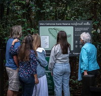 Sunshine Coast Hinterland and Noosa Day Trip from Brisbane Including Eumundi Markets and Ginger Factory - South Australia Travel