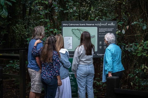 Sunshine Coast Hinterland And Noosa Day Trip From Brisbane Including Eumundi Markets And Ginger Factory - South Australia Travel 0
