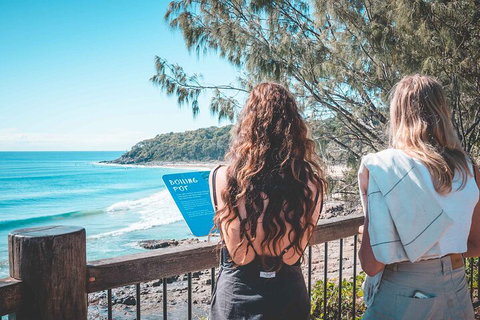 Sunshine Coast Hinterland And Noosa Day Trip From Brisbane Including Eumundi Markets And Ginger Factory - South Australia Travel 2