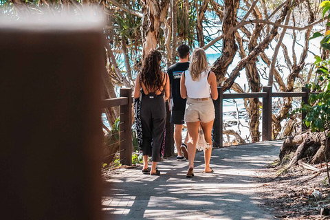 Sunshine Coast Hinterland And Noosa Day Trip From Brisbane Including Eumundi Markets And Ginger Factory - South Australia Travel 4