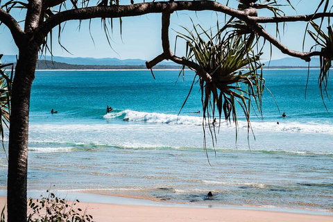 Sunshine Coast Hinterland And Noosa Day Trip From Brisbane Including Eumundi Markets And Ginger Factory - South Australia Travel 5