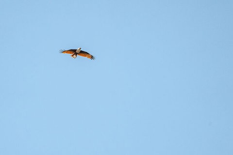 North Stradbroke Island Day Trip From Brisbane - South Australia Travel 4