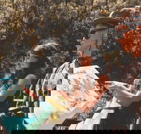 Springbrook andTamborine Rainforest Tour Incl Natural Bridge and Glow Worm Cave - South Australia Travel