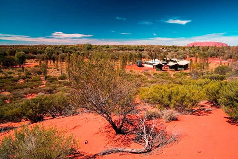 Overnight Uluru (Ayers Rock) Small-Group Camping Tour - South Australia Travel 2