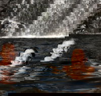 3 Day 4WD Dragonfly Dreaming Top End Safari - South Australia Travel