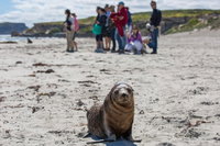 Book Viator Accommodation Vacations South Australia Travel South Australia Travel