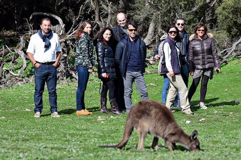 2-Day Kangaroo Island 4WD Small-Group Tour From Adelaide - South Australia Travel 1