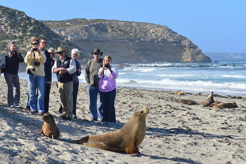 2-Day Kangaroo Island 4WD Small-Group Tour From Adelaide - South Australia Travel 3