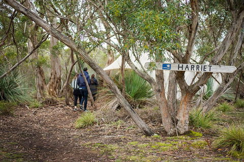 2-Day Kangaroo Island 4WD Small-Group Tour From Adelaide - South Australia Travel 5