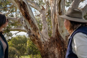 NEW TOUR - Kangaroo Island Road to Recovery Tour (1 Day/1 Night)