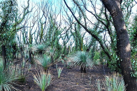 NEW TOUR - Kangaroo Island Road To Recovery Tour (1 Day/1 Night) - South Australia Travel 3