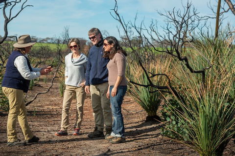 NEW TOUR - Kangaroo Island Road To Recovery Tour (1 Day/1 Night) - South Australia Travel 4