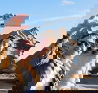 Full-Day Kangaroo Island Experience Departing from Kangaroo Island - South Australia Travel