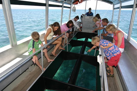 Cairns City Sights And Surrounds Tour - South Australia Travel 5