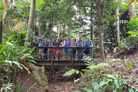 Cairns Shore Excursion: Cairns City Sights & Surrounds Tour - South Australia Travel 1